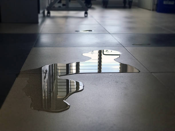 Best 24-hour water damage restoration  in Elgin, OR